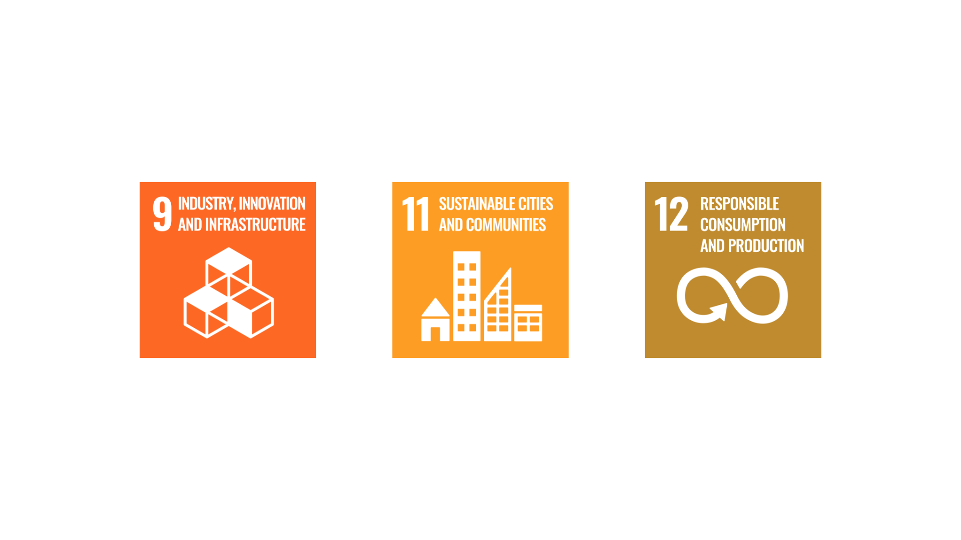 Sustainable Development Goals related to BRIX