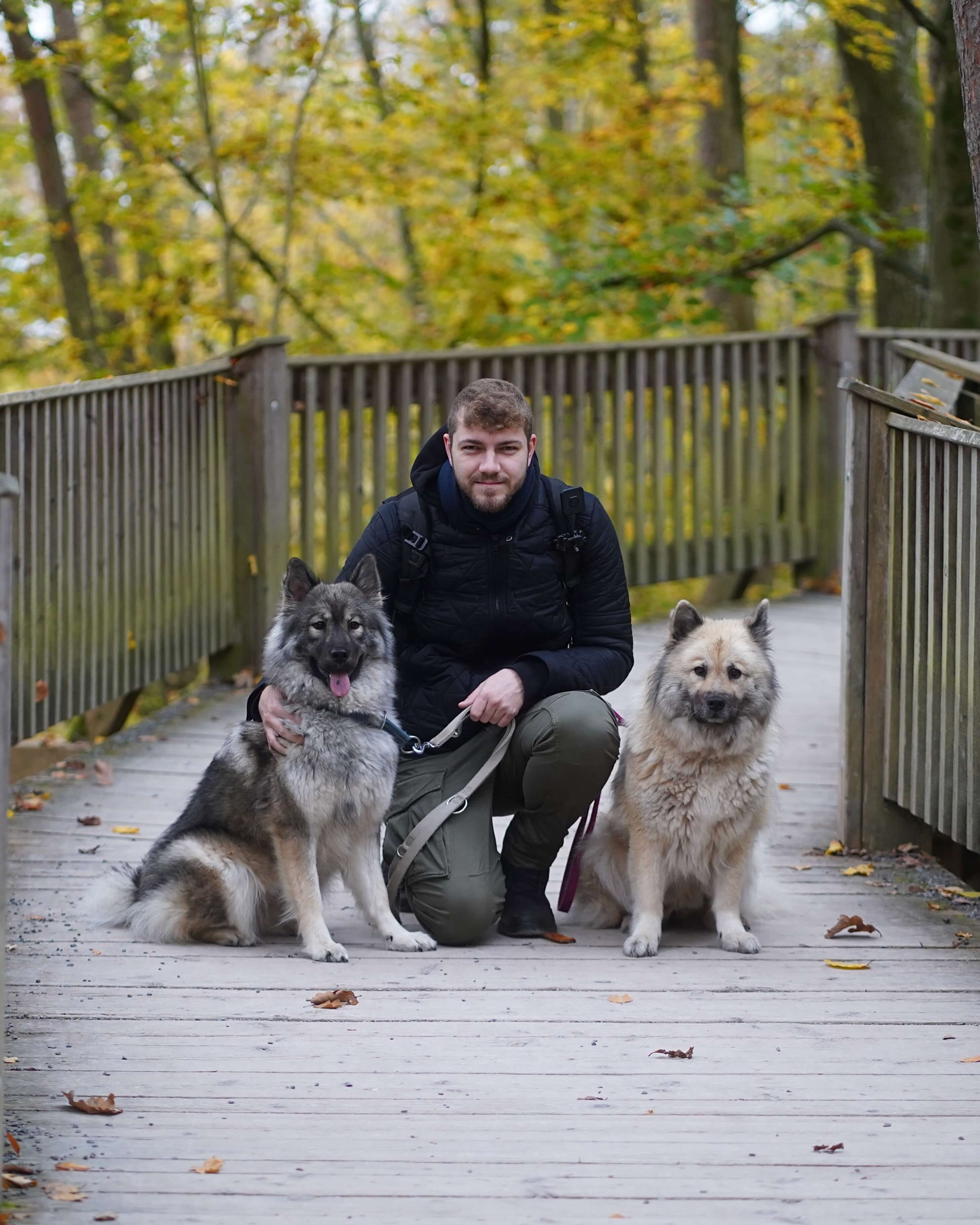 Tierfotografie Anfrage